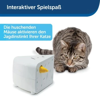 PetSafe Automatisches Katzenspielzeug Cheese 8 PetSafe Automatisches Katzenspielzeug Cheese – Bild 6