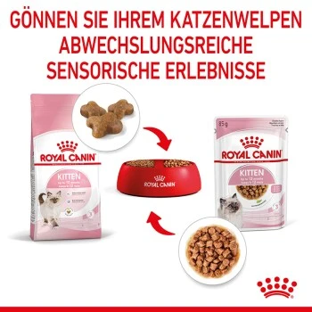 ROYAL CANIN Kitten 12x85g In Soße 6 ROYAL CANIN Kitten 12x85g In Soße – Bild 4