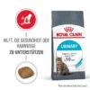 ROYAL CANIN Urinary Care 4 Kg 2 ROYAL CANIN Urinary Care 4 Kg -ROYAL CANIN Verkaufsgeschäft 4c1a1447ec95486c76a829b7d5b32cdc97094a92 1189976 2
