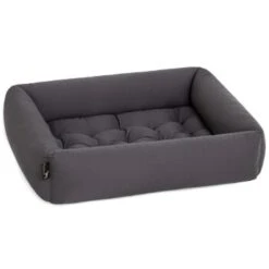 Pointer Liegeplatz Anthrazit M -ROYAL CANIN Verkaufsgeschäft 4cbbec70ff042418c2fdd3c9a0777d14061d43c6 92673d84ef614c119c0cf94c6a7e282b1ee2c43e