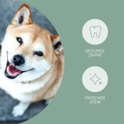 Mammaly Fresh Smile 110g -ROYAL CANIN Verkaufsgeschäft 4dfc3b5d73dfa91add91c3411ca4723de71754ed 1472885 3