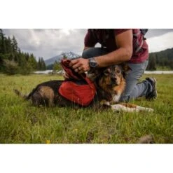 Ruffwear Front Range™ Hundetagesrucksack Rot XS 18 Ruffwear Front Range™ Hundetagesrucksack Rot XS -ROYAL CANIN Verkaufsgeschäft 4e85c5fcf8221559a11a36a85cf18292f16c7ae6 1639836 de DE e32c1ef235eed898fdfb11ee92e223827867be67d4f5kE