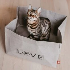 Canadian Cat Company Katzenbett Winnipeg -ROYAL CANIN Verkaufsgeschäft 4f163c23f3c00759be25633fb22100eb50b10eed 1360995 de DE e27163ea0c21fd571c9e22268b69a4d1b68affe5UBt2yy