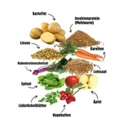 Eat Small EatSmall 2x10kg Mini Balance Trockenfutter -ROYAL CANIN Verkaufsgeschäft 4fae09c52d3608f10b8435583593653e7a15e402 1480036 de DE 6283572904307389a0bc941157f085e96ce5449bbXJ9pL