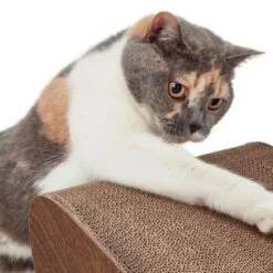 Canadian Cat Company Kratzbrett Satellite 2.0 Braun -ROYAL CANIN Verkaufsgeschäft 51d726ab18583b5b75703fa2588fac66b1e75dc3 1310301 de DE 26e3a5a4fc0c6541cbfd55bcdee423c53adff143SYgLld