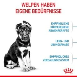 ROYAL CANIN Maxi Puppy 10x140g 13 ROYAL CANIN Maxi Puppy 10x140g -ROYAL CANIN Verkaufsgeschäft 520cede8431c2f7bd9b6dfd8e89114d545b17958 3182550402163 4