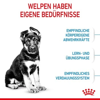 ROYAL CANIN Maxi Puppy 10x140g 7 ROYAL CANIN Maxi Puppy 10x140g – Bild 5