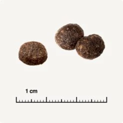 REAL NATURE WILDERNESS Adult Mixpaket Mixpaket 1, Mix-Pack -ROYAL CANIN Verkaufsgeschäft 527b332672eded50c4dcdddaa1a4892456641e77 1267097 de DE 6 truecountry 1173938002