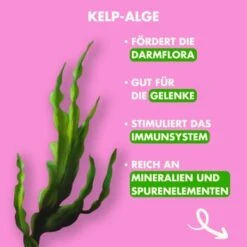 Irish Pure - Lamm, Huhn + Gemüse & Kelp 1,5 Kg -ROYAL CANIN Verkaufsgeschäft 527ec7baa2a3e80bcac0c1cde535b92d605f38d5 1274251 de DE 88d675ba0abf74bb033298bd2dc7e9ecc2e4cb56ZJYwrx