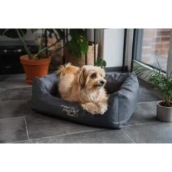 TrendPet Viscado Orthopädisches Hundebett Grau S 12 TrendPet Viscado Orthopädisches Hundebett Grau S -ROYAL CANIN Verkaufsgeschäft 53767eb5fa18c09af83c41a099a76459282b8d5d 1223491 de DE 389224d5322521064b4406daae05b01140401710O1LkLo