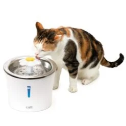 Catit Trinkbrunnen Blume Mit Edelstahl 9 Catit Trinkbrunnen Blume Mit Edelstahl -ROYAL CANIN Verkaufsgeschäft 5392539c8dbc8d85986bf4b0fbb7edf6416e3e08 0aff85bcd98f6c5d68afbc6cc6059726358a2666