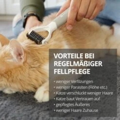 Schlitzohr Unterfellbürste Cookie -ROYAL CANIN Verkaufsgeschäft 53d0e4f1112b03e753e7638fa5614252b54fa996 1484683 de DE 6c658ae84926627d02526d6148ddbfeaca275065JZqkkx