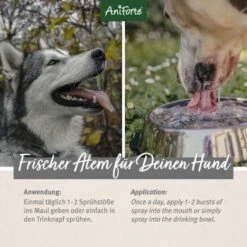 Aniforte Dentalspray Zahnpflege Spray 100ml 9 Aniforte Dentalspray Zahnpflege Spray 100ml -ROYAL CANIN Verkaufsgeschäft 5407327dc1ff8b3c62918c78a261300c797ac1a5 1439278 de DE d65d8e1ebeada7690aae8d6a4c6fc70cb3dbb3e9igaN3s