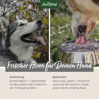 Aniforte Dentalspray Zahnpflege Spray 100ml 5 Aniforte Dentalspray Zahnpflege Spray 100ml – Bild 3