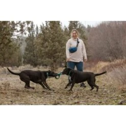 Ruffwear Pacific Ring™ Spielzeug Blau/ Türkis -ROYAL CANIN Verkaufsgeschäft 55dba30b9a5e3fc77d29bb72e0dc6fad83c40ffc 1444351 de DE 8a3b2d989e7fae2c85eabfcfca3bb7709484f9a3jKDH9l