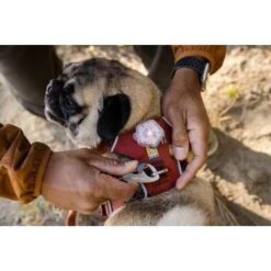 Ruffwear Front Range™ Geschirr Rubin S -ROYAL CANIN Verkaufsgeschäft 567b777a41bdee4eec308eeb362ffd11b7423791 1651482 de DE b49ca7da48d523f760dd25d7f92b9fc05b8c4582Cx8pqb