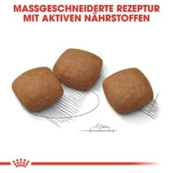 ROYAL CANIN Maxi Joint Care 10 Kg 11 ROYAL CANIN Maxi Joint Care 10 Kg -ROYAL CANIN Verkaufsgeschäft 569e889f6a1e35c2b0a655a3c09e2da96cdb9f8f 882d120e273f03a8bf1786c9c932f743d3d39c92