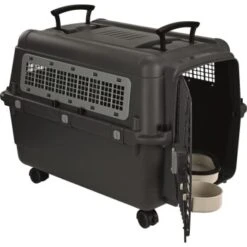 AniOne Transportbox M