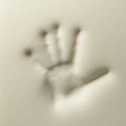 Rexproduct Otto Orthopädisches Hundebett Dunkelblau S-XL Dunkelgrün S 9 Rexproduct Otto Orthopädisches Hundebett Dunkelblau S-XL Dunkelgrün S -ROYAL CANIN Verkaufsgeschäft 570349f41587d31b10a65c2e1f7c454db29b39b9 1499832 de DE 4a05f204198aead29f7c6fcb2b828fd649f99213DTOwd2