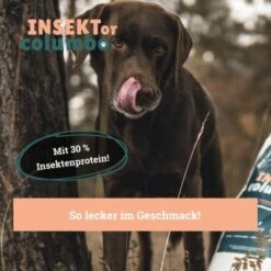 BeG Buddy Trockenfutter Insekten 750 G -ROYAL CANIN Verkaufsgeschäft 57b9a060951fe7e729b2208effd5fd5daa31d3f3 1457247 de DE a7b2e0a08ffde87f19ce4820500c56d453115ca7aqYpJv
