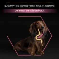 PRO PLAN Optiderma Small & Mini Adult Sensitive Skin 3 Kg -ROYAL CANIN Verkaufsgeschäft 583a4581180cd9257ec89c06604244bb36146ea4 1206421 3