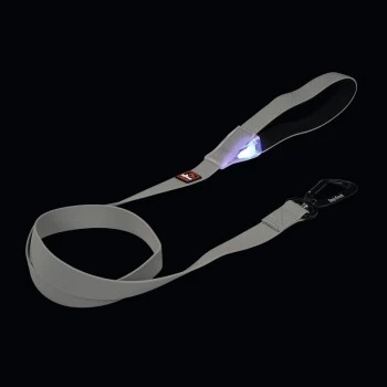 Dogs Creek Leuchtleine Polar Light 4 Dogs Creek Leuchtleine Polar Light – Bild 2