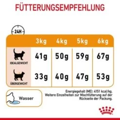 ROYAL CANIN Hair & Skin Care 2 Kg -ROYAL CANIN Verkaufsgeschäft 59ad6b832a494abe0d049a9853ac0b54a6beab2e 1003122007 8