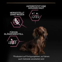 PRO PLAN Optiderma Small & Mini Adult Sensitive Skin 3 Kg -ROYAL CANIN Verkaufsgeschäft 5b23ca122221cb62b2f41b30bcbdc34aa80d6fe1 1206421 6