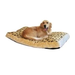 Silvio Design Liegewiese Silvio S -ROYAL CANIN Verkaufsgeschäft 5b81a17c7ddf8a5acd77399cad30282ad2118341 15d212e44352730f873bbb03cba4d07f483a373e