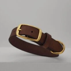 THE DOG IDEA Leder Halsband Braun M -ROYAL CANIN Verkaufsgeschäft 5bac949feea5d5f59c7e6751952069a5862426be 1674220 de DE 8b6455ef1d4dab4e1be6bed35e5373bf84958058k1WBYW