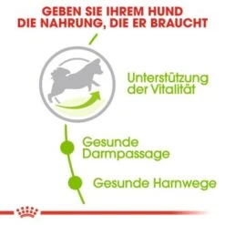 ROYAL CANIN X-Small Mature 8+ 3 Kg -ROYAL CANIN Verkaufsgeschäft 5bae2d1c25e04221609bbb270c73a61c79881b4e fec5c241b14be5aeb06ed7c5e61f2c5c7a039aae