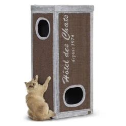 Europet Bernina Europet Kratztonne Rockefeller 50 Cm, 50 Cm, 90 Cm 13 Europet Bernina Europet Kratztonne Rockefeller 50 Cm, 50 Cm, 90 Cm -ROYAL CANIN Verkaufsgeschäft 5beca9afecc0b236f2fda82bf7d73b1fd0801ab1 b02f63b3e1c920c93bb6a10b2df020ae4e8491fa