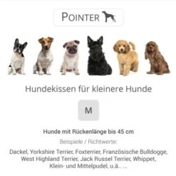 Pointer Liegekissen Khaki M -ROYAL CANIN Verkaufsgeschäft 5c95e0c5cd34d73a5613280bd9c008b2338ac28e 65d97dccf50f65346fc9d81c1d0c8309bc74a4d7