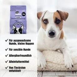 Eat Small EatSmall 2x10kg Mini Balance Trockenfutter -ROYAL CANIN Verkaufsgeschäft 5cbeccdd33234b58974b4f5d2b9021a3bb592f90 1480036 de DE 8ba3f4f1691754ebd4e1f51b5ada108265d86815obh17d