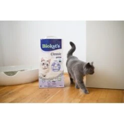 Biokat's Classic 3in1 Extra 14 L -ROYAL CANIN Verkaufsgeschäft 5d52880c5f6cb6a968c367a4df6d22f3606a92d3 1422137 4