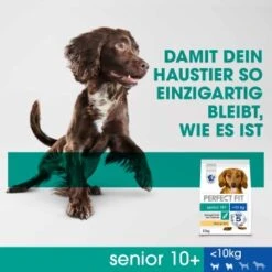 PERFECT FIT Senior Huhn 6 Kg -ROYAL CANIN Verkaufsgeschäft 5d6a12f60fff58f3f403c756f84a484066b08bdd 1390282 de DE SI04 PFT Dog Dry Senior XSS Chicken 825g DAM