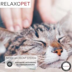 RelaxoPet PRO Entspannungs-Trainer KATZE -ROYAL CANIN Verkaufsgeschäft 5e807080a677a4a90a950f7dacb700870a866642 1315706 de DE e6dc4268241d05a0f2883b3084c91b24fed0467fmgVHw7