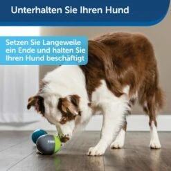 PetSafe Elektronisches Hundespielzeug Ricochet -ROYAL CANIN Verkaufsgeschäft 5eadda9b8e1c472d17e8160a968897c5f1589a26 1418724 de DE f0080b3bce77c44349e2b70b9453ceaf44e2d3d6nqnVTG