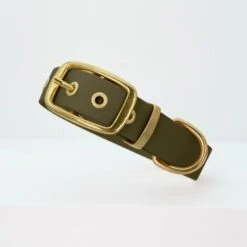 THE DOG IDEA Biothane Halsband Gold Khaki M -ROYAL CANIN Verkaufsgeschäft 5f39446a1ee14dab16a89a3689929003861983a8 1655419 de DE fdcb084ec6e1b995d3a74426085016a70227a578xTiAJp