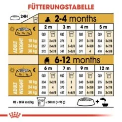 ROYAL CANIN Bulldog Puppy 12 Kg 15 ROYAL CANIN Bulldog Puppy 12 Kg -ROYAL CANIN Verkaufsgeschäft 5f961796197fa1f2173c6924217b51ecf2a77205 232a3e60bd40313e7435c5cdb2af663abfb42af5