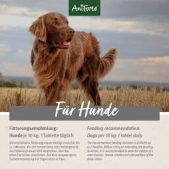 Aniforte Plus Fell & Haut 90 Tabletten 13 Aniforte Plus Fell & Haut 90 Tabletten -ROYAL CANIN Verkaufsgeschäft 5fb4f1e870fde2a4e5f4b6f90e36ec6f0dd88550 1455931 de DE d0081f69574a0ff060fac7b221f563bb6f170e56pY8I6o