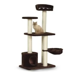 Silvio Design Kratzbaum Molly 12 Silvio Design Kratzbaum Molly -ROYAL CANIN Verkaufsgeschäft 605cb6718cffe169f7a2cc35d6eeab7bd09ee96b 8eb10806c380c9957ce19d0fdef05ba9a0161050