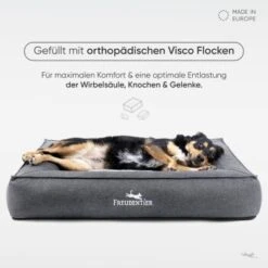 Freudentier Orthopädisches Box Hundebett Siebenschläfer M -ROYAL CANIN Verkaufsgeschäft 61723156d2f7b54e22f71e43abc1163a7ef00ee3 1477909 de DE 93feee0eca897413bd7276c1693c404746a7a792qKZ8IZ