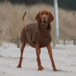 THE DOG IDEA Bademantel Every Braun XXXS -ROYAL CANIN Verkaufsgeschäft 62c517832f7f923b83b0a0ee681a77b2e33cc3c3 1473036 de DE 2393ef51979dd0191b0261c826741cb7543b7b3brAaZfV