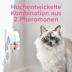 Beaphar CatComfort Excellence Nachfüll-Flakon Für Verdampfer 17 Beaphar CatComfort Excellence Nachfüll-Flakon Für Verdampfer -ROYAL CANIN Verkaufsgeschäft 62f9ebd7607b7a060b32fb11dae75f2d3caa19ec 1416647 1 1