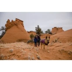 Ruffwear Overcoat Fuse™ Hundejacke Violett XXS -ROYAL CANIN Verkaufsgeschäft 63f0f6c2ce316cb05ad8327a81fc0693c061f7c9 1639761 de DE c1f94f51e318dc9402504b3760a5b7d8c990fb78cnSRrn