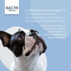 ChronoBalance BactoFacto Probiotischer Geruchsstopp Pads Für 2 Liter 20 Ml 11 ChronoBalance BactoFacto Probiotischer Geruchsstopp Pads Für 2 Liter 20 Ml -ROYAL CANIN Verkaufsgeschäft 6515b6e6800e68909a0a5f7e0f816613e8c36542 1397549 de DE 9a466fcf5c88e78df191b07c6d764f4746df49dcxtsIbT