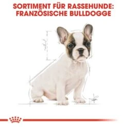 ROYAL CANIN Französische Bulldogge Puppy 10 Kg -ROYAL CANIN Verkaufsgeschäft 6533c1a96ca75c136f89ff9cc048ac3b0cef85da 285b59c4eb743c45432d7efc45498582cabbc6e9