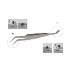 Lills Zeckenzange Aus Edelstahl -ROYAL CANIN Verkaufsgeschäft 666f3a3fb181b232ac8339dfb19af759aa845978 1488086 de DE f0e508c7b7855d95e1b35fa6dabdb0d0ba4555f76ECWsn