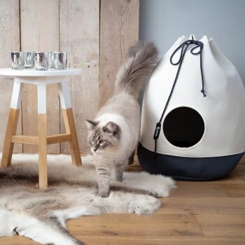 District 70 Höhle Casa Grau 4 District 70 Höhle Casa Grau – Bild 2